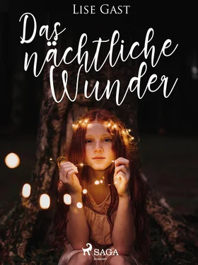 Lise Gast Das nächtliche Wunder обложка книги