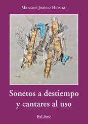 Milagros Jiménez Hidalgo - Sonetos a destiempo y cantares al uso