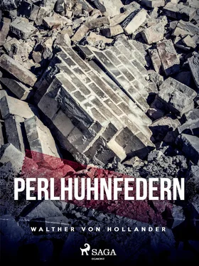 Walther von Hollander Perlhuhnfedern обложка книги