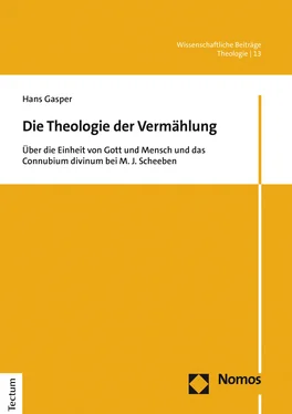 Hans Gasper Die Theologie der Vermählung обложка книги