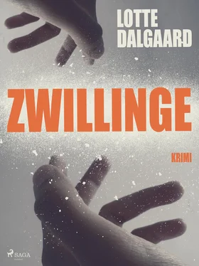 Lotte Dalgaard Zwillinge обложка книги