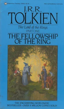 J Tolkien Lord of the Rings 1 - The Fellowship of The Ring обложка книги