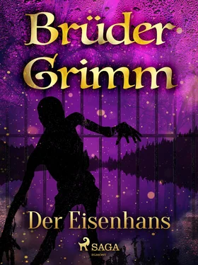 Brüder Grimm Der Eisenhans обложка книги