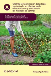 Enrique Aguilar Yánez - Determinación del estado sanitario de las plantas, suelo e instalaciones y elección de los métodos de control. AGAH0108