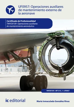 María Inmaculada González Rivas Operaciones auxiliares de mantenimiento externo de la aeronave. TMVO0109 обложка книги