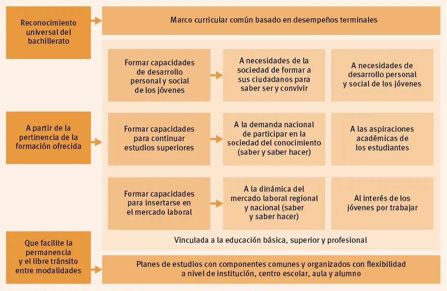 Figura 5 Articulación de los principios básicos con las propuestas para la - фото 13