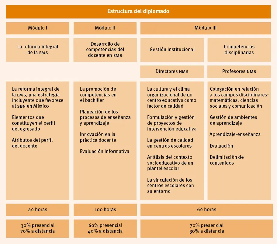 Figura 6 Estructura del diplomado en Competencias D0centes del Nivel Medio - фото 14