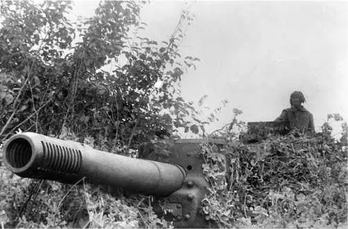 ИСУ152 гвардии младшего лейтенанта ГП Голопшина в засаде на левом берегу р - фото 86