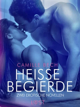 Camille Bech Heiße Begierde – Zwei erotische Novellen обложка книги