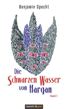 Benjamin Specht Die Schwarzen Wasser von Hargan обложка книги