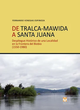 Fernando Venegas Espinoza De Tralca-Mawida a Santa Juana обложка книги