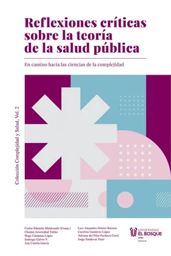 Carlos Eduardo Maldonado Reflexiones críticas sobre la teoría de la salud pública обложка книги