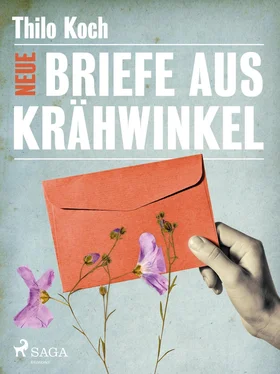 Thilo Koch Neue Briefe aus Krähwinkel обложка книги