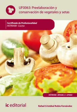 Rafael Cristóbal Rubio Fernández Preelaboración y conservación de vegetales y setas. HOTR0408 обложка книги