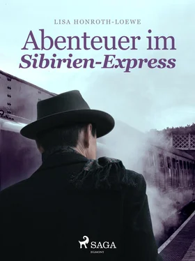 Lisa Honroth Löwe Abenteuer im Sibirien-Express обложка книги