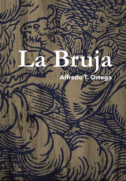 Alfredo Tomás Ortega Ojeda La bruja обложка книги