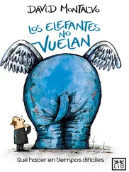 David Montalvo - Los elefantes no vuelan