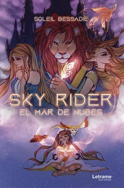 Soleil Bessadie Sky Rider обложка книги