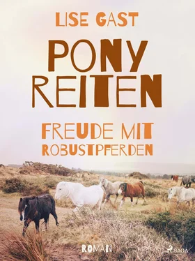 Lise Gast Ponyreiten обложка книги
