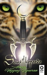 Alberto Vazquez-Figueroa - Saud el Leopardo
