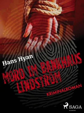 Hans Hyan Mord im Bankhaus Lindström обложка книги