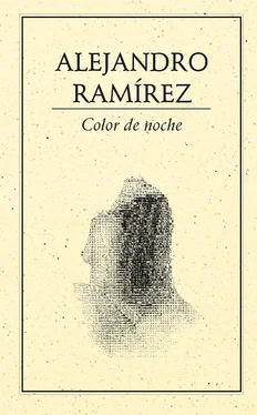 Alejandro Ramirez Color de noche обложка книги