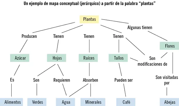 Aplicación práctica Necesita realizar un folleto sobre nutrición con muchos - фото 107