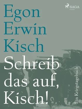Egon Erwin Kisch Schreib das auf, Kisch! Ein Kriegstagebuch обложка книги