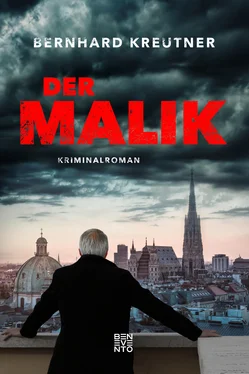 Bernhard Kreutner Der Malik обложка книги