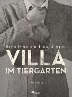 Artur Hermann Landsberger Villa im Tiergarten обложка книги