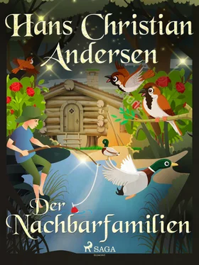 Hans Christian Die Nachbarfamilien обложка книги