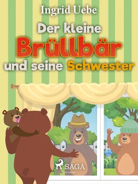 Ingrid Uebe Der kleine Brüllbär und seine Schwester обложка книги