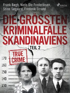 Frederik Strand Die größten Kriminalfälle Skandinaviens - Teil 2 обложка книги
