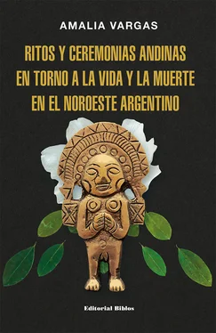 Amalia Vargas Ritos y ceremonias andinas en torno a la vida y la muerte en el noroeste argentino обложка книги