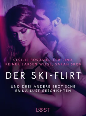 Sarah Skov Der Ski-Flirt – und drei andere erotische Erika Lust-Geschichten обложка книги