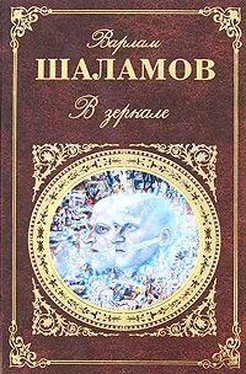 Варлам Шаламов В зеркале (сборник) обложка книги