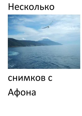 Евгений Кузнецов Несколько снимков с Афона. Паломническая поездка обложка книги