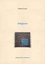 Mirko Lauer - Sologuren