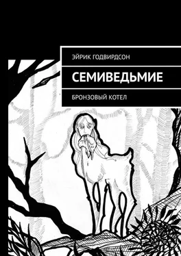 Эйрик Годвирдсон Семиведьмие. Бронзовый котел обложка книги