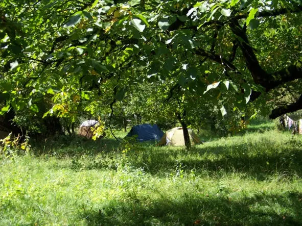 Наш лагерь во дворе Николая С Николаем нас связывает дружба на тот период - фото 9