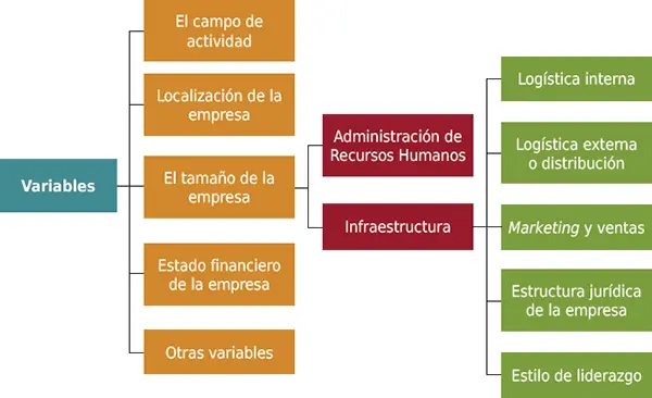 1 1 El campo de actividad productos y mercados a los que se dedica la - фото 39