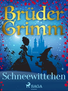 Brüder Grimm Schneewittchen обложка книги