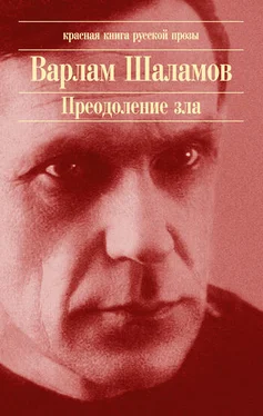 Варлам Шаламов Июнь обложка книги