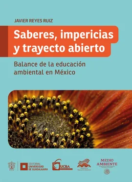 Francisco Javier Reyes Ruiz Saberes, impericias y trayecto abierto обложка книги