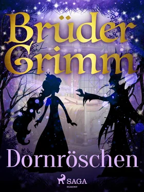 Brüder Grimm Dornröschen обложка книги