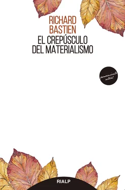 Richard Bastien El crepúsculo del materialismo обложка книги