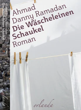 Ahmad Danny Ramadan Die Wäscheleinen-Schaukel обложка книги