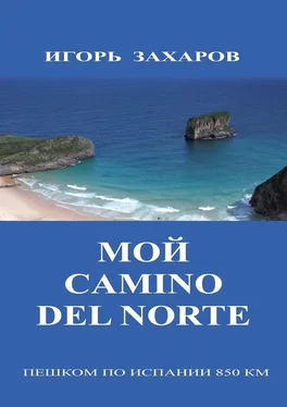 Игорь Захаров Мой CaminO del Norte. Пешком по Испании 850 км обложка книги