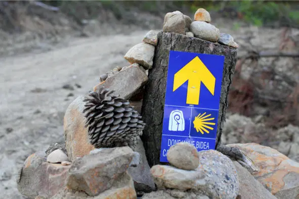 Знак Camino на подъеме Местами работники в специальных костюмах проводят - фото 27