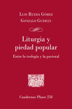 Gonzalo Gúzman Liturgia y piedad popular обложка книги